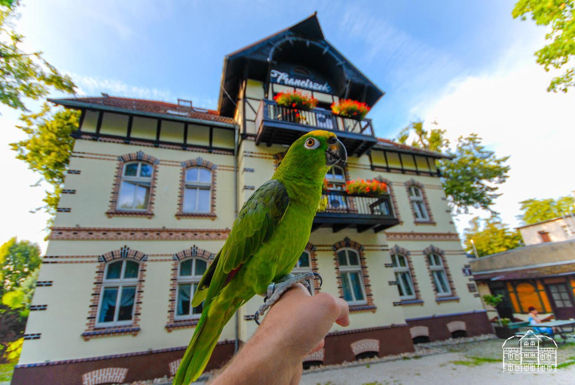Franciszek Przy Parku Szwedzkim Apartment Szczawno-Zdroj Bagian luar foto