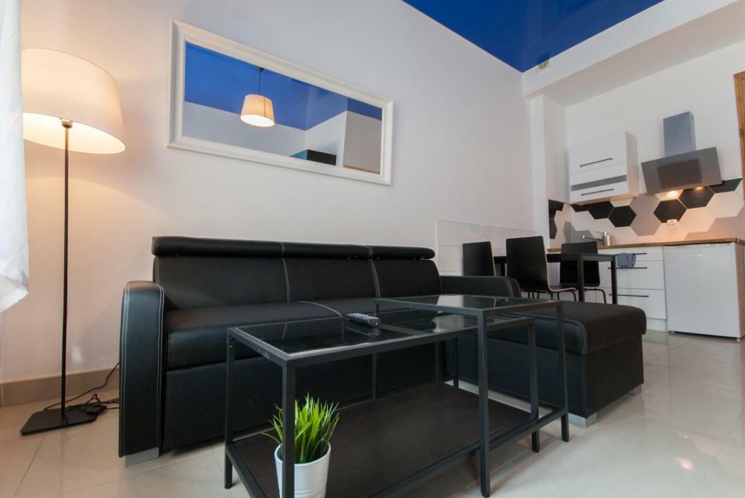 Franciszek Przy Parku Szwedzkim Apartment Szczawno-Zdroj Bagian luar foto