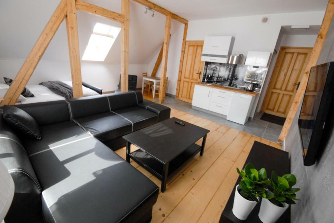 Franciszek Przy Parku Szwedzkim Apartment Szczawno-Zdroj Bagian luar foto
